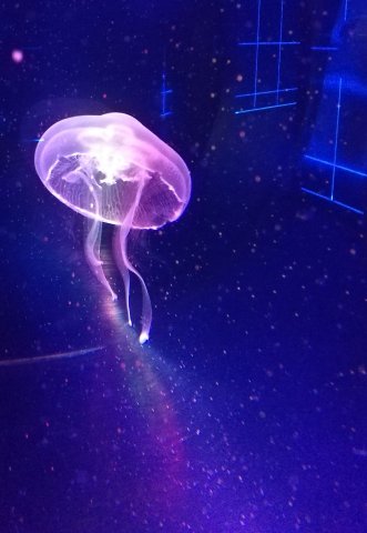 2019_08_11_164508_007