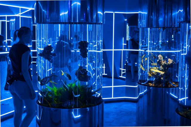 2019_08_11_165131_020