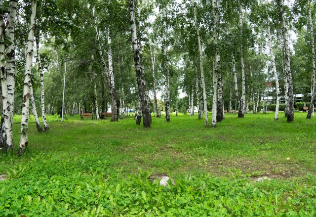 2019_08_15_101124_009