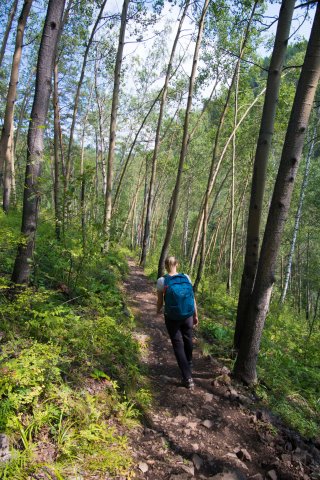 2019_08_16_112429_049