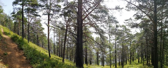 2019_08_16_123515_028