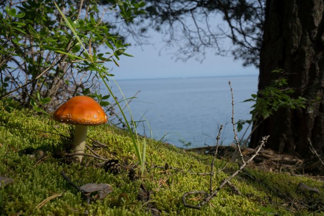 2019_08_16_155524_011