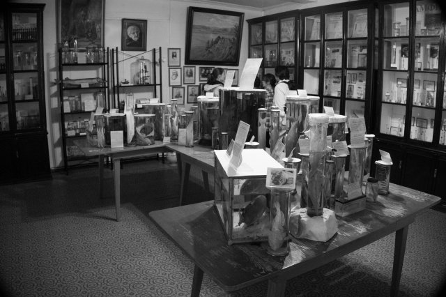 2019_08_17_160514_059