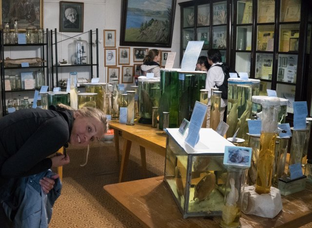 2019_08_17_160519_060