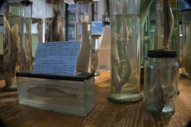 2019_08_17_160759_061