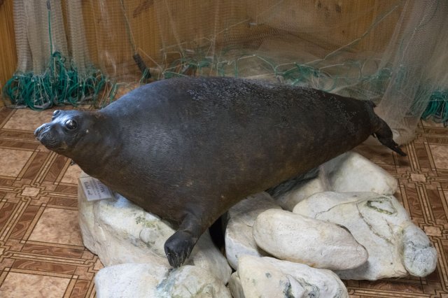 2019_08_17_162026_063