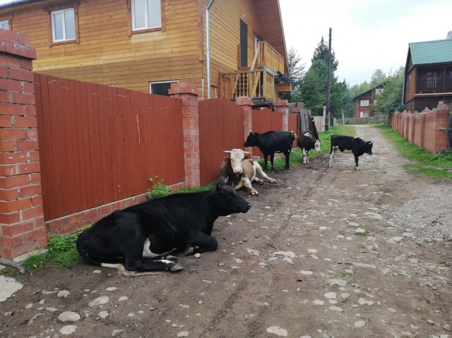 2019_08_18_113714_042