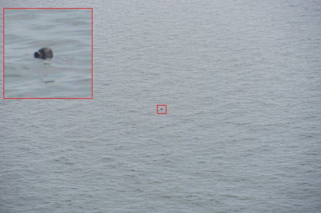 2019_08_18_133459_019