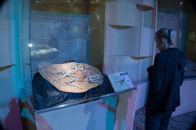 2019_08_20_103726_014