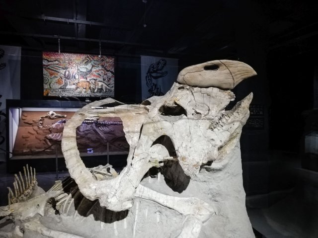 2019_08_20_105140_001